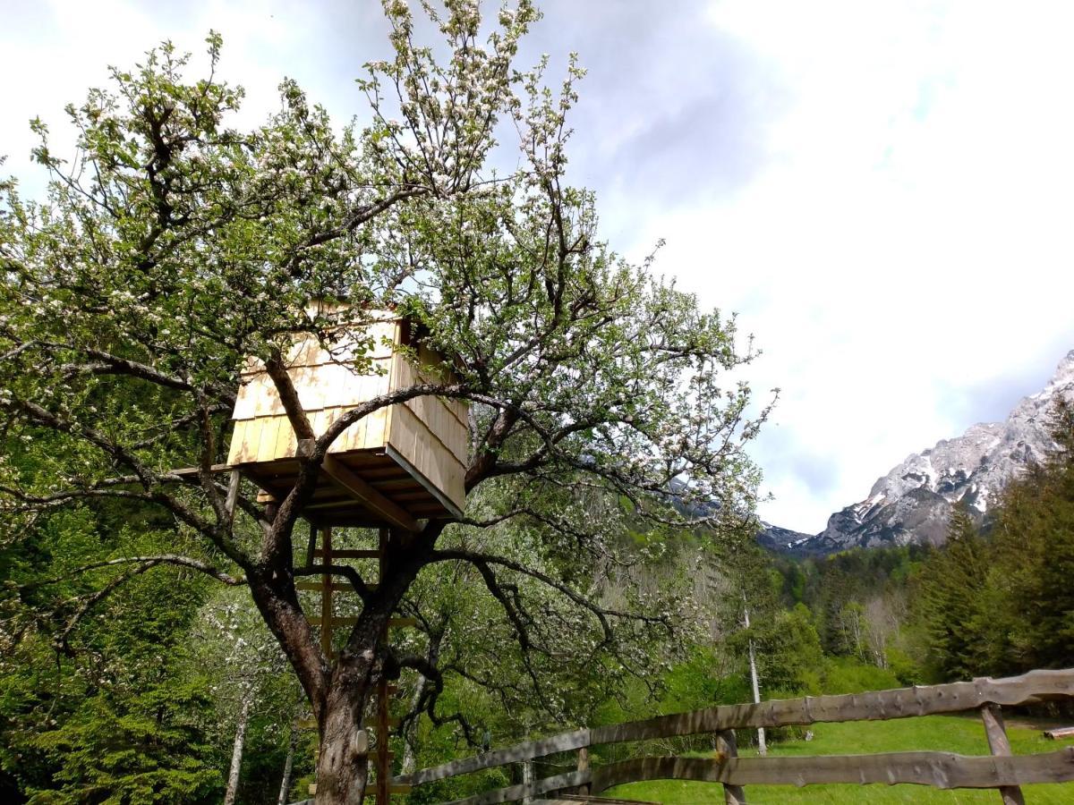 Camping & Glamping Grintovec Preddvor Екстериор снимка