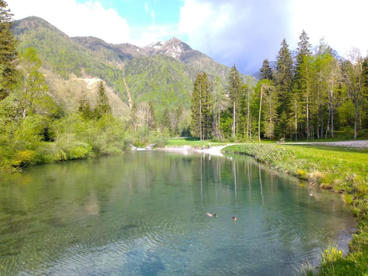 Camping & Glamping Grintovec Preddvor Екстериор снимка