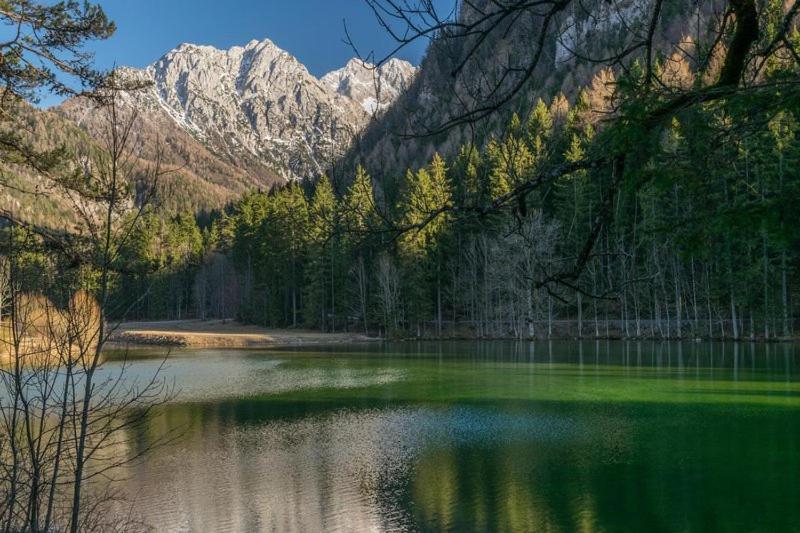 Camping & Glamping Grintovec Preddvor Екстериор снимка