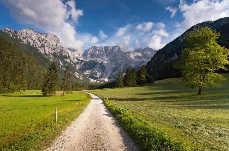 Camping & Glamping Grintovec Preddvor Екстериор снимка