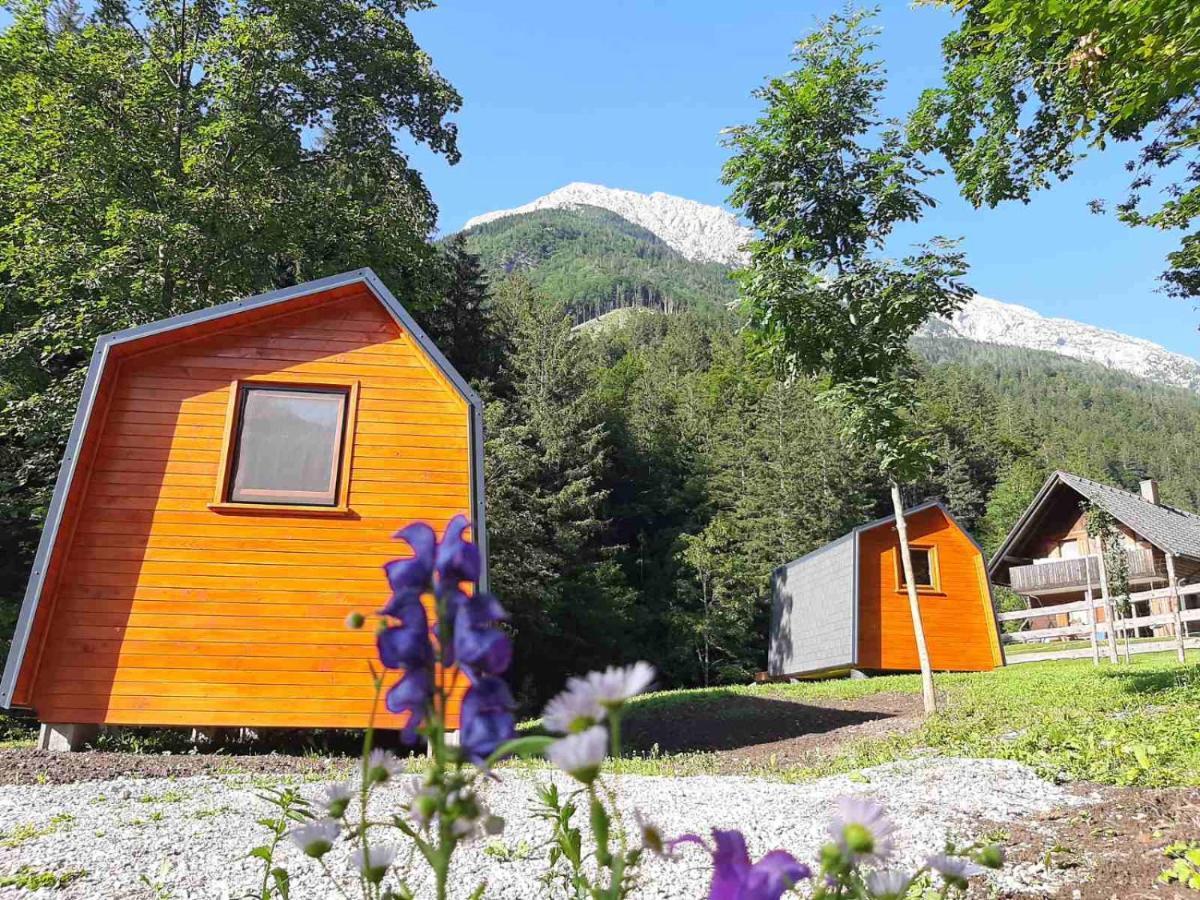 Camping & Glamping Grintovec Preddvor Екстериор снимка