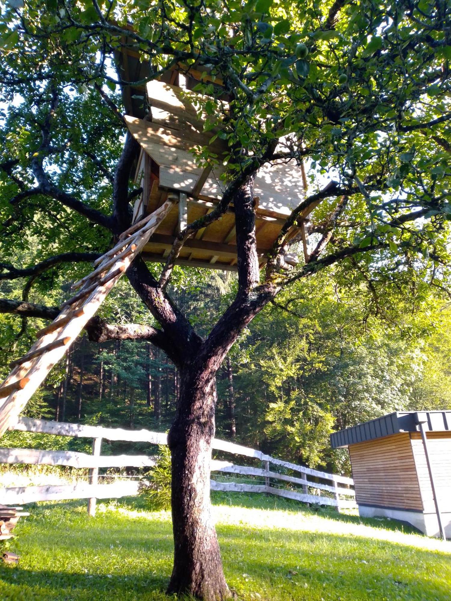 Camping & Glamping Grintovec Preddvor Екстериор снимка
