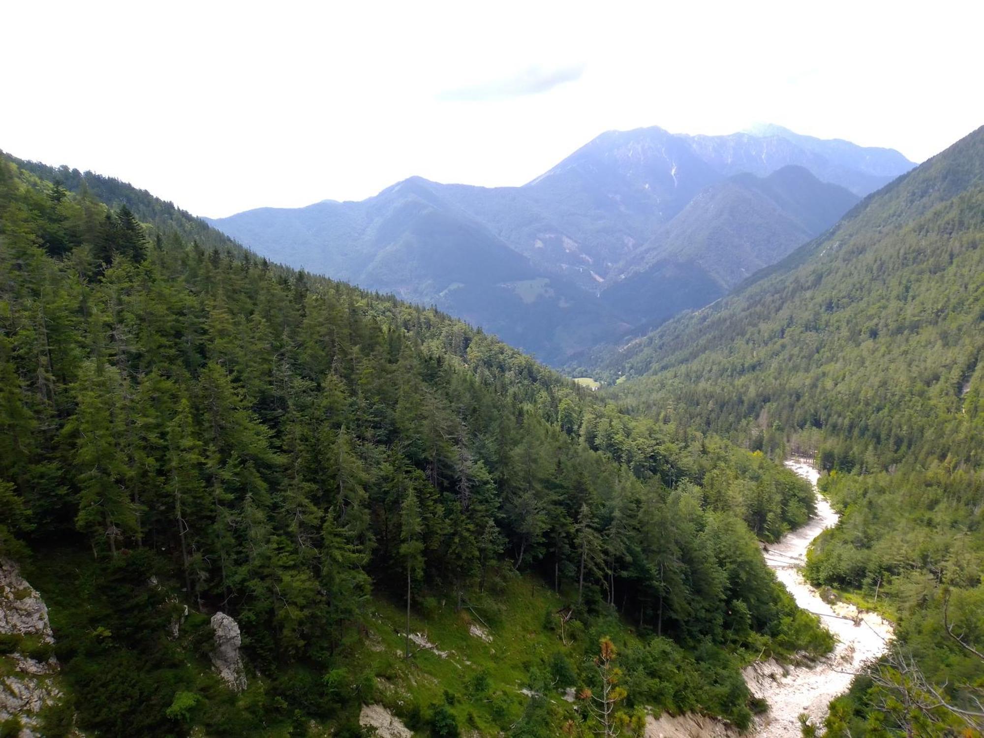 Camping & Glamping Grintovec Preddvor Екстериор снимка