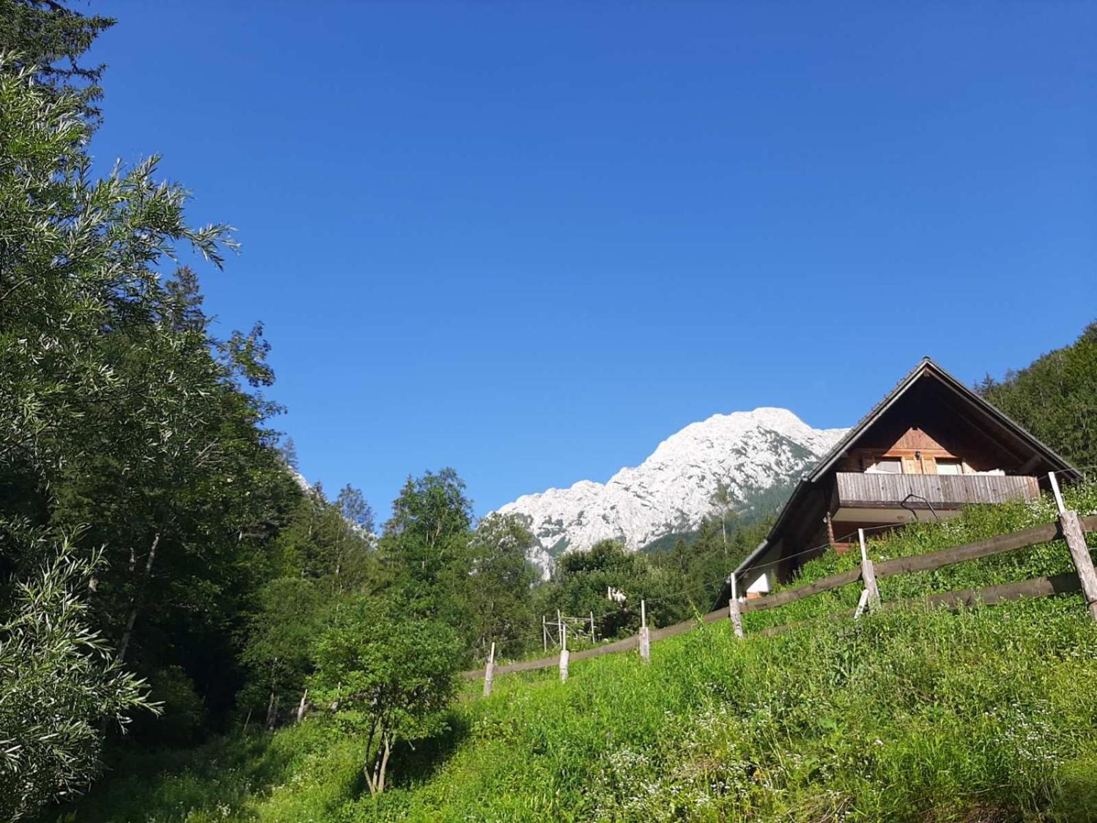 Camping & Glamping Grintovec Preddvor Екстериор снимка
