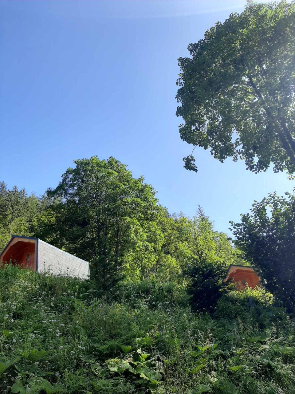 Camping & Glamping Grintovec Preddvor Екстериор снимка