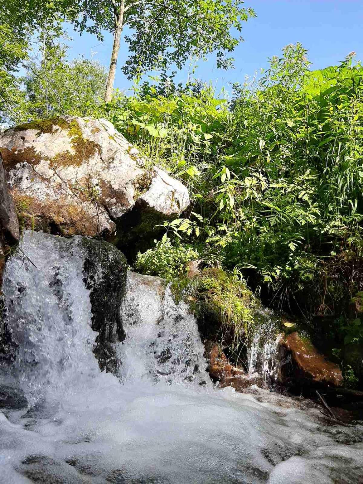 Camping & Glamping Grintovec Preddvor Екстериор снимка